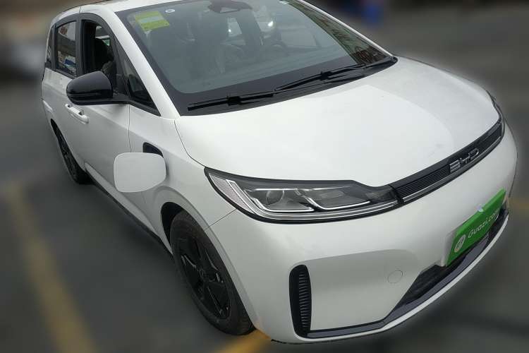 Used BYD D1 2023 Beyond Edition Front Right 45 Deg