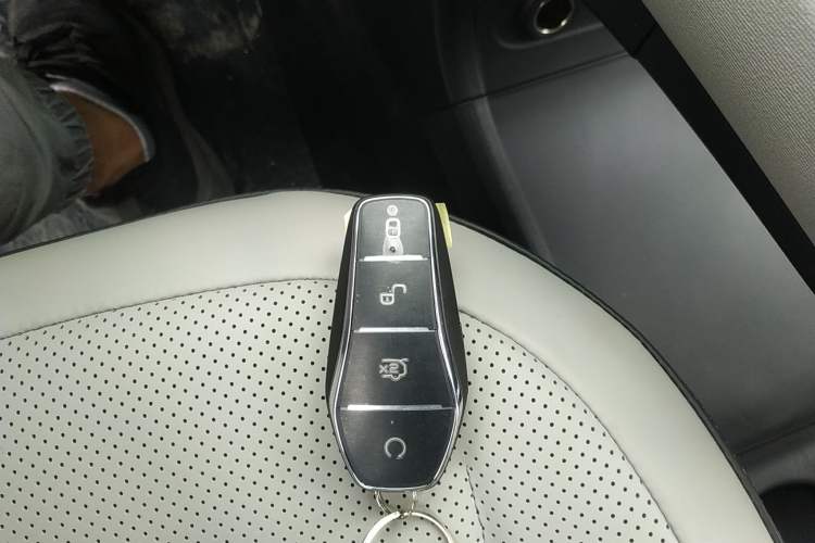 Used BYD D1 2023 Beyond Edition Vehicle Key