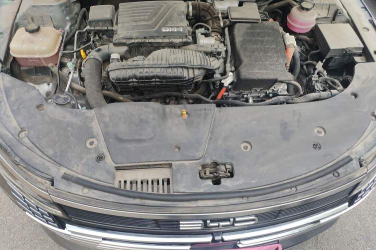 Used BYD Destroyer 05 2022 DM-i 55KM Prestige Model Engine Bay