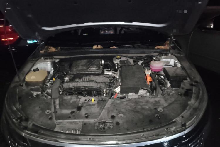 Used BYD Destroyer 05 2022 DM-i 55KM Prestige Model Engine Bay
