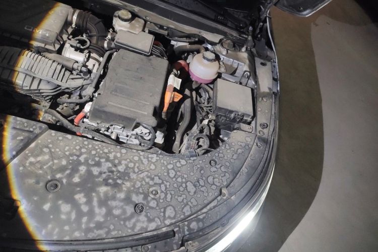 Used BYD Destroyer 05 2022 DM-i 120KM Prestige Model Engine Bay Left