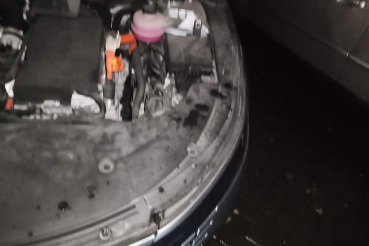 Used BYD Destroyer 05 2022 DM-i 55KM Prestige Model Engine Bay Left