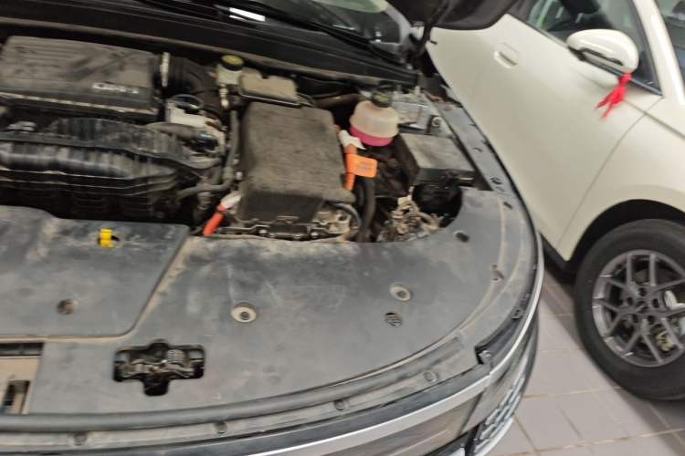 Used BYD Destroyer 05 2022 DM-i 120KM Flagship Model Engine Bay Left