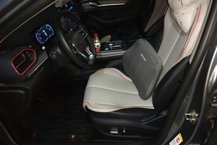Used BYD Destroyer 05 2022 DM-i 120KM Prestige Model Left Front Seat
