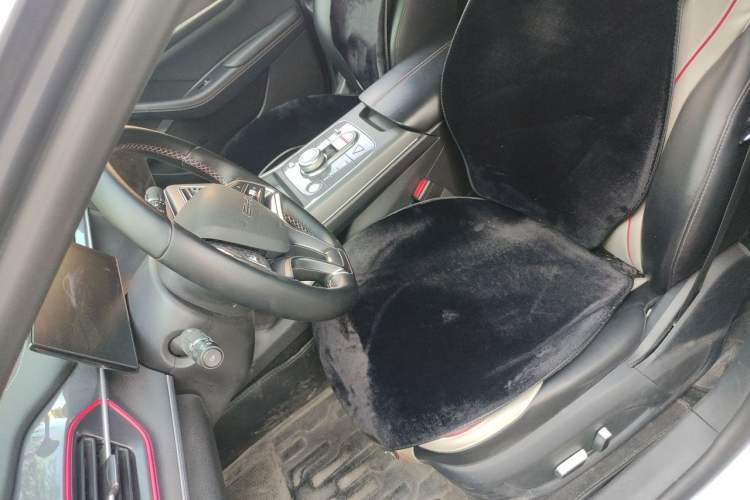 Used BYD Destroyer 05 2022 DM-i 55KM Prestige Model Left Front Seat