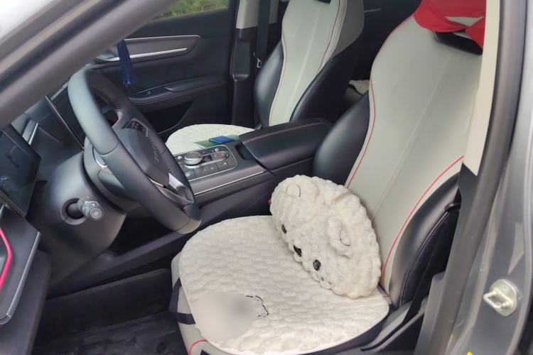 Used BYD Destroyer 05 2022 DM-i 120KM Prestige Model Left Front Seat