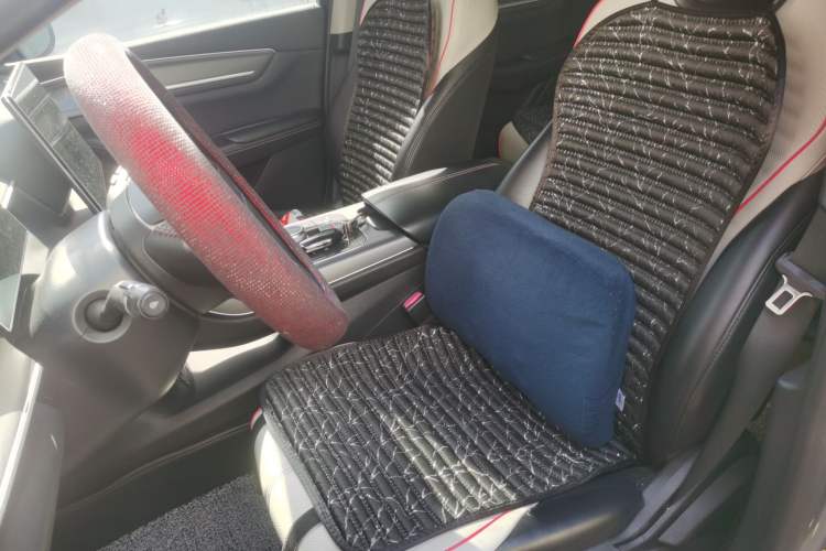 Used BYD Destroyer 05 2022 DM-i 55KM Comfort Model Left Front Seat