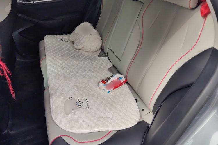 Used BYD Destroyer 05 2022 DM-i 120KM Prestige Model Left Rear Seat