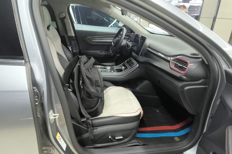 Used BYD Destroyer 05 2022 DM-i 55KM Prestige Model Right Front Seat