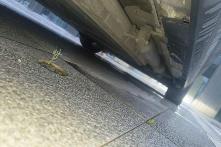 Used BYD Destroyer 05 2022 DM-i 120KM Prestige Model Chassis Rear Right