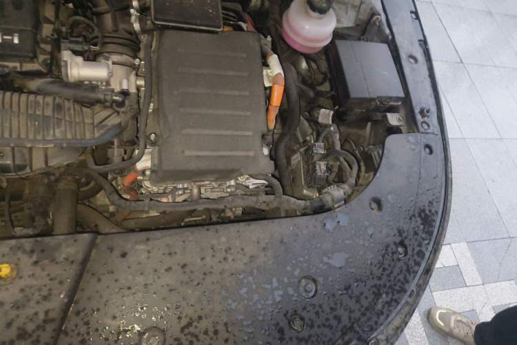 Used BYD Destroyer 05 2022 DM-i 120KM Prestige Model Engine Bay Left