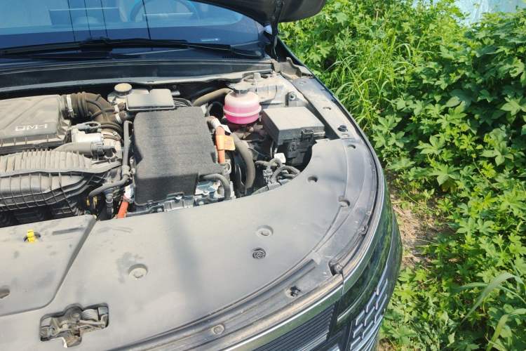 Used BYD Destroyer 05 2022 DM-i 55KM Prestige Model Engine Bay Left