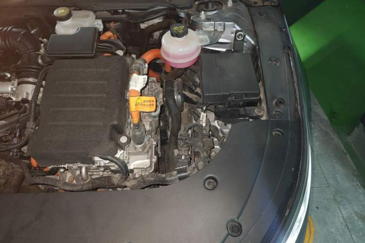 Used BYD Destroyer 05 2022 DM-i 55KM Prestige Model Engine Bay Left