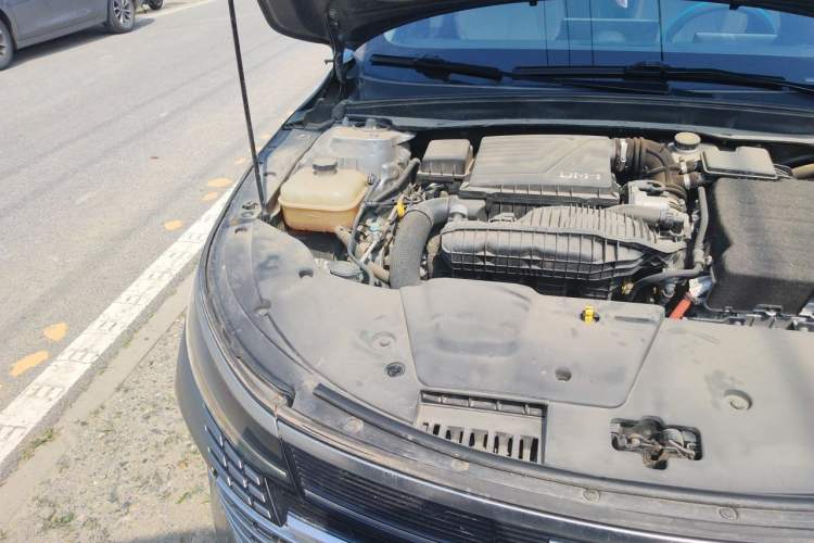 Used BYD Destroyer 05 2022 DM-i 55KM Prestige Model Engine Bay Right