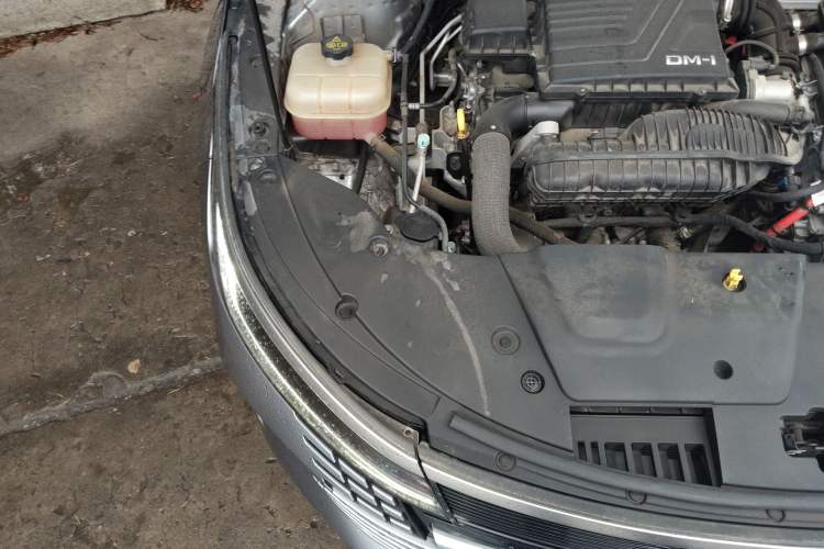 Used BYD Destroyer 05 2022 DM-i 55KM Luxury Model Engine Bay Right