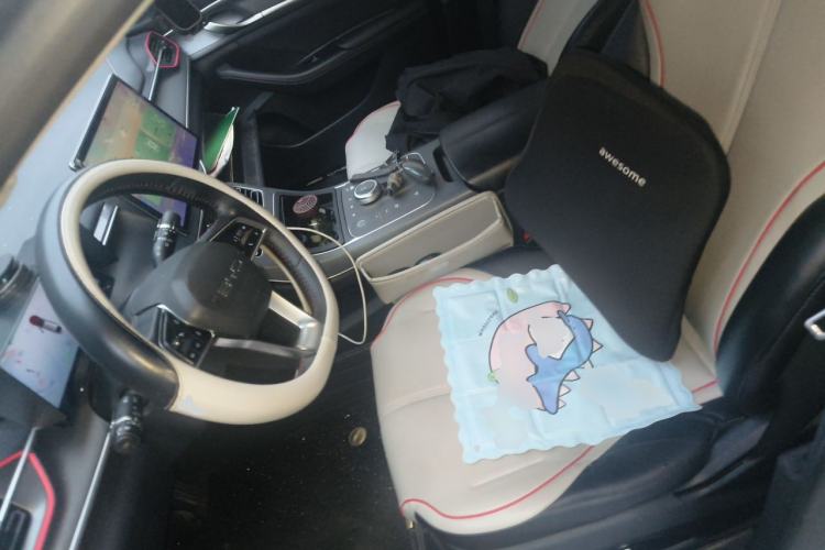 Used BYD Destroyer 05 2022 DM-i 120KM Prestige Model Left Front Seat