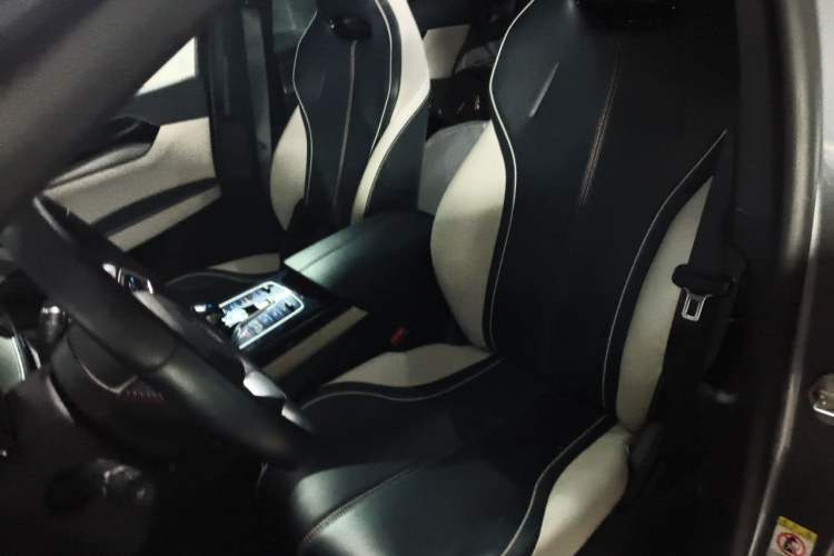 Used BYD Destroyer 05 2022 DM-i 55KM Prestige Model Left Front Seat