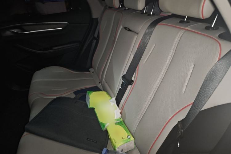 Used BYD Destroyer 05 2022 DM-i 120KM Flagship Model Left Rear Seat
