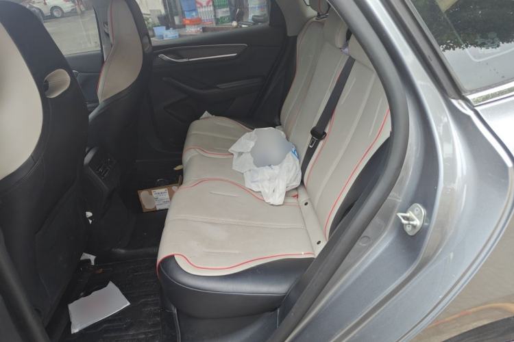 Used BYD Destroyer 05 2022 DM-i 55KM Luxury Model Left Rear Seat