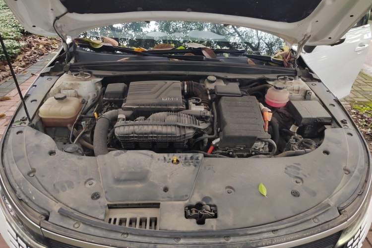 Used BYD Destroyer 05 2022 DM-i 55KM Luxury Model Engine Bay