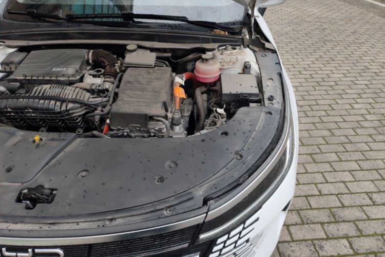 Used BYD Destroyer 05 2022 DM-i 120KM Prestige Model Engine Bay Left