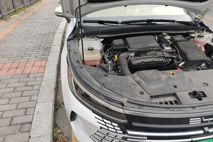 Used BYD Destroyer 05 2022 DM-i 120KM Prestige Model Engine Bay Right