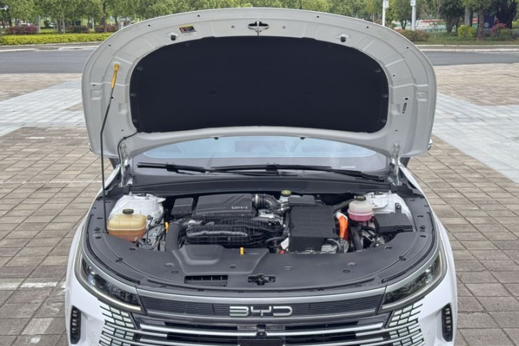 Used BYD Destroyer 05 2022 DM-i 55KM Prestige Model Exterior 10