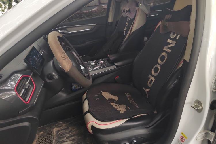 Used BYD Destroyer 05 2022 DM-i 55KM Luxury Model Left Front Seat