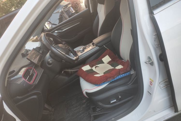 Used BYD Destroyer 05 2022 DM-i 120KM Prestige Model Left Front Seat