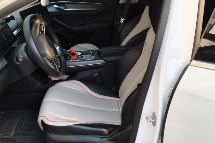 Used BYD Destroyer 05 2022 DM-i 120KM Prestige Model Left Front Seat
