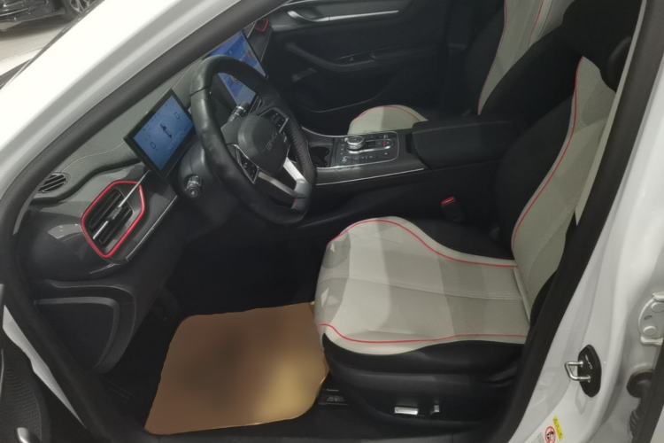 Used BYD Destroyer 05 2022 DM-i 55KM Luxury Model Left Front Seat