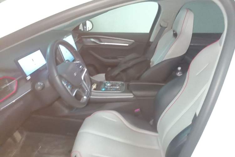 Used BYD Destroyer 05 2022 DM-i 55KM Prestige Model Left Front Seat