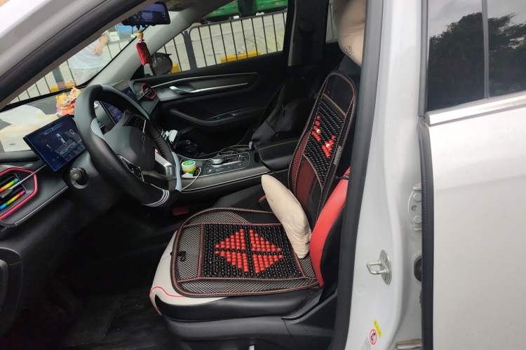 Used BYD Destroyer 05 2022 DM-i 120KM Prestige Model Left Front Seat