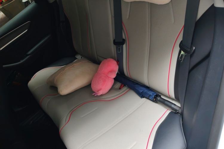 Used BYD Destroyer 05 2022 DM-i 120KM Prestige Model Left Rear Seat