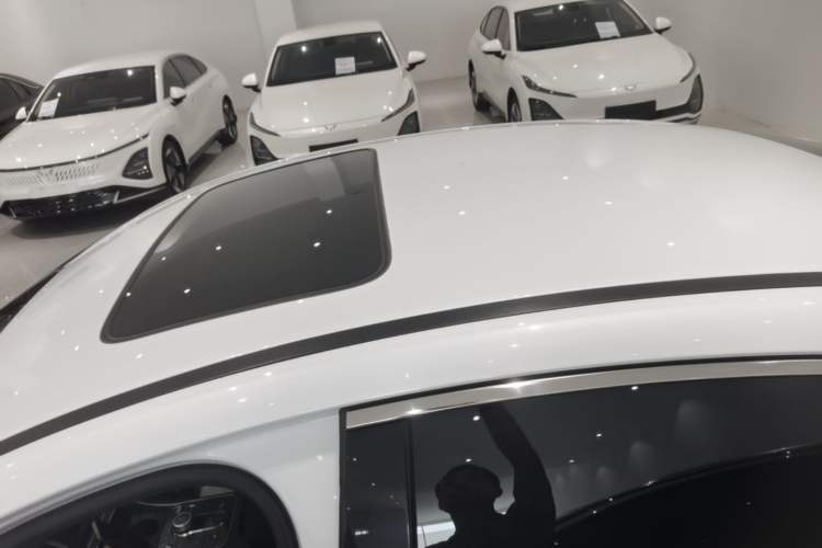 Used BYD Destroyer 05 2022 DM-i 55KM Luxury Model Roof