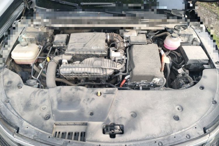 Used BYD Destroyer 05 2023 Champion Edition DM-i 55KM Luxury Model Engine Bay