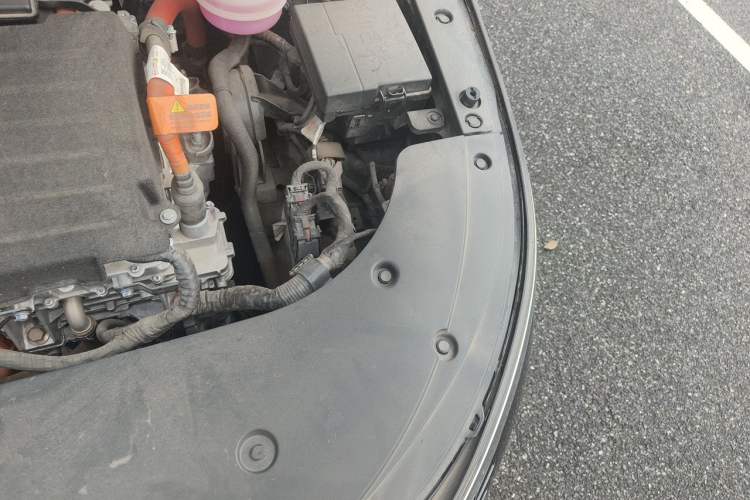 Used BYD Destroyer 05 2023 Champion Edition DM-i 55KM Luxury Model Engine Bay Left