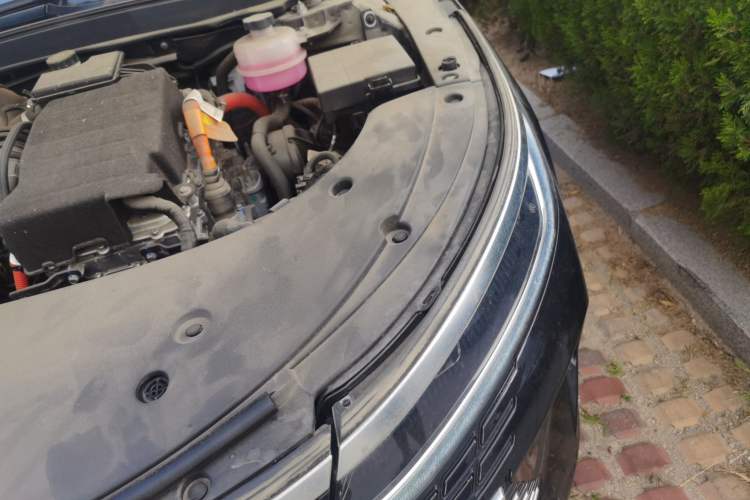 Used BYD Destroyer 05 2023 Champion Edition DM-i 120KM Prestige Model Engine Bay Left