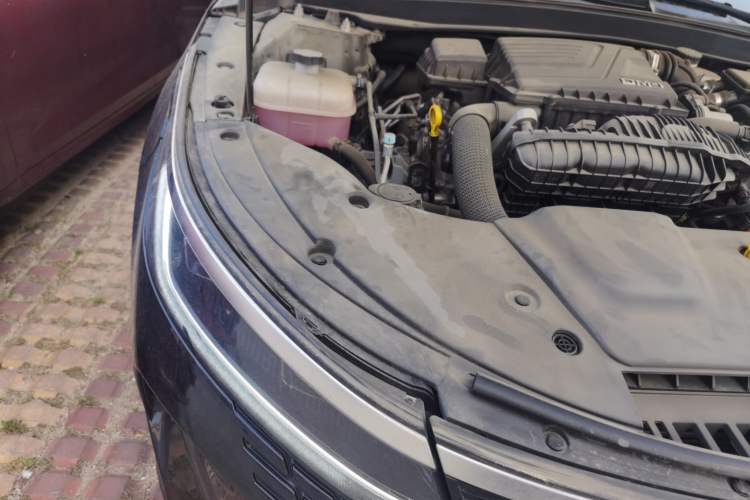 Used BYD Destroyer 05 2023 Champion Edition DM-i 120KM Prestige Model Engine Bay Right