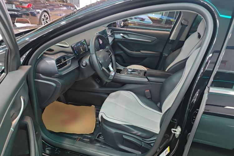 Used BYD Destroyer 05 2023 Champion Edition DM-i 55KM Luxury Model Left Front Seat