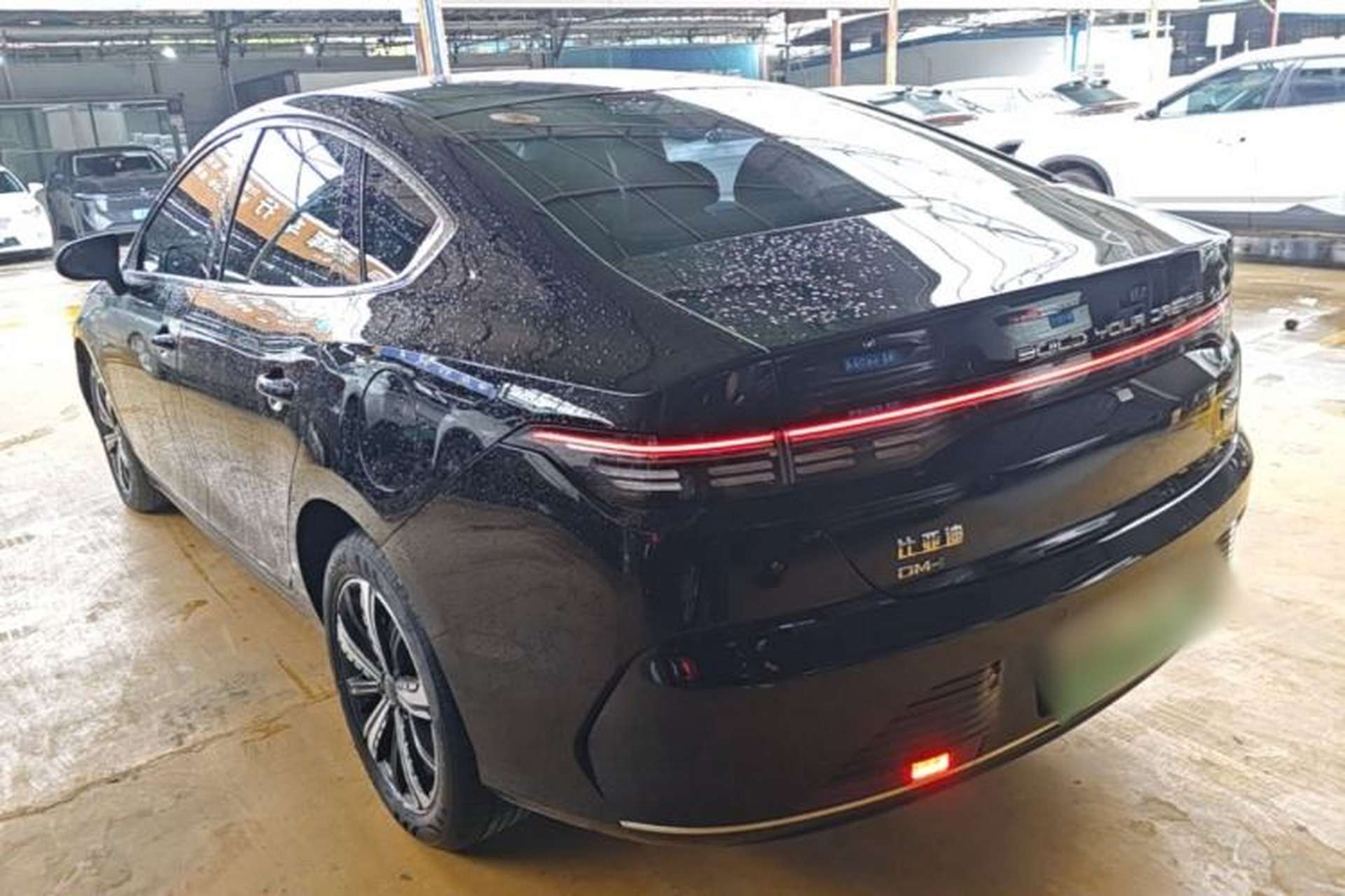 Used BYD Destroyer 05 2023 Champion Edition DM-i 120KM Prestige Model Rear Left 45 Deg
