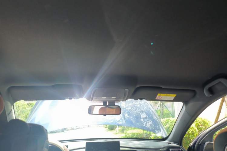 Used BYD Destroyer 05  Headliner