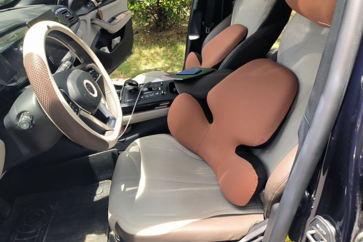 Used BYD Destroyer 05  Left Front Seat