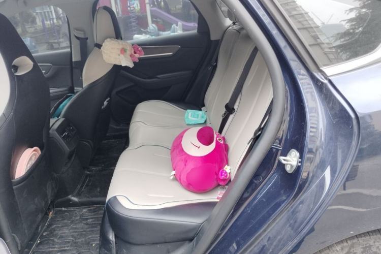 Used BYD Destroyer 05 2023 Champion Edition DM-i 120KM Luxury Model Left Rear Seat