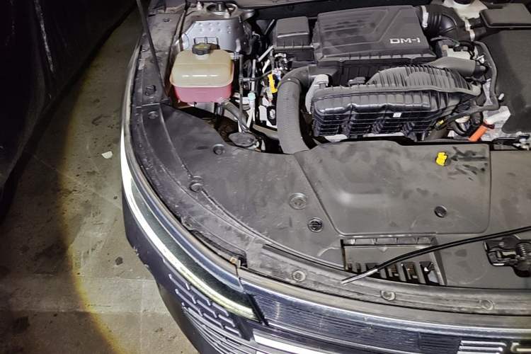 Used BYD Destroyer 05 2023 Champion Edition DM-i 55KM Luxury Model Engine Bay Right