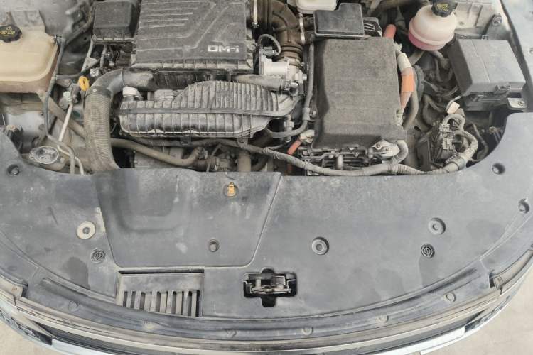 Used BYD Destroyer 05 2023 Champion Edition DM-i 55KM Luxury Model Engine Bay