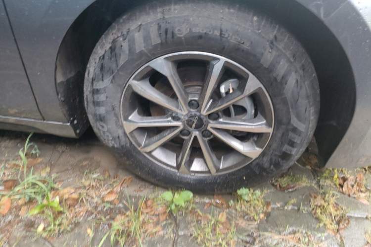Used BYD Destroyer 05 2023 Champion Edition DM-i 55KM Luxury Model Exterior 1