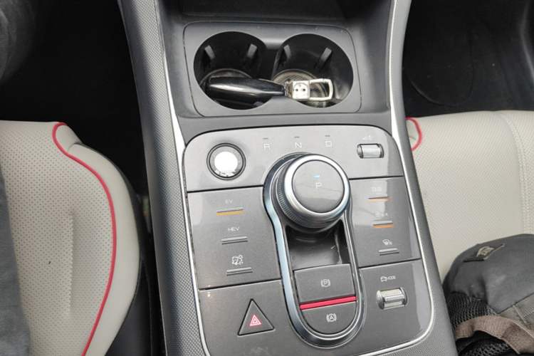 Used BYD Destroyer 05 2023 Champion Edition DM-i 55KM Luxury Model Gear Lever