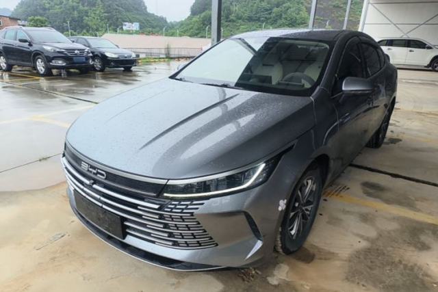 BYD Destroyer 05 2023 Champion Edition DM-i 55KM Luxury Model usado