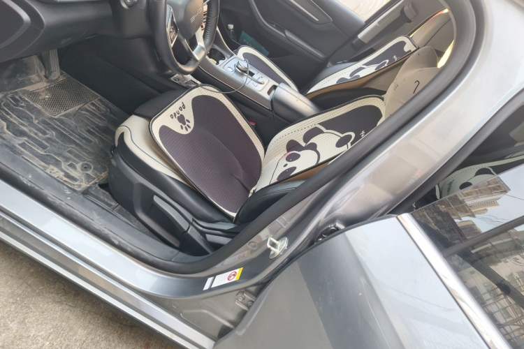 Used BYD Destroyer 05 2023 Champion Edition DM-i 55KM Luxury Model Left Front Seat